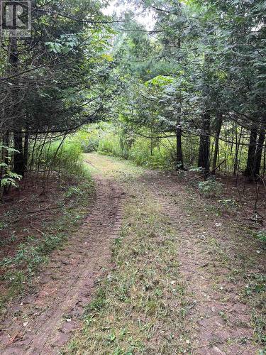 Lot 10 10Th Sideroad Ndr, West Grey, ON 