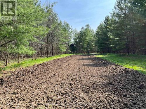 Lot 10 10Th Sideroad Ndr, West Grey, ON 