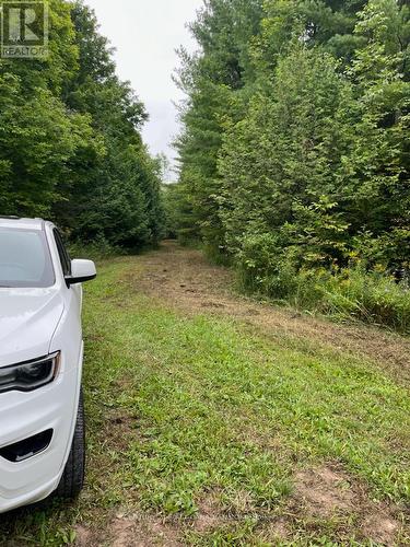 Lot 10 10Th Sideroad Ndr, West Grey, ON 