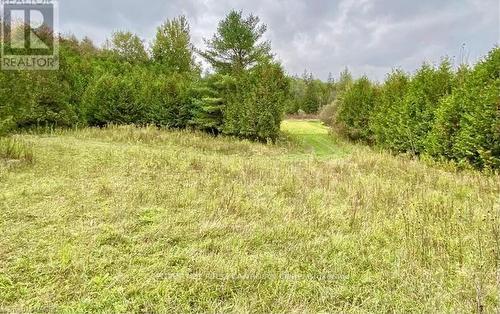 Lot 10 10Th Sideroad Ndr, West Grey, ON 