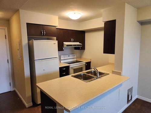 1507-61 Heintzman St, Toronto, ON - Indoor Photo Showing Kitchen With Double Sink