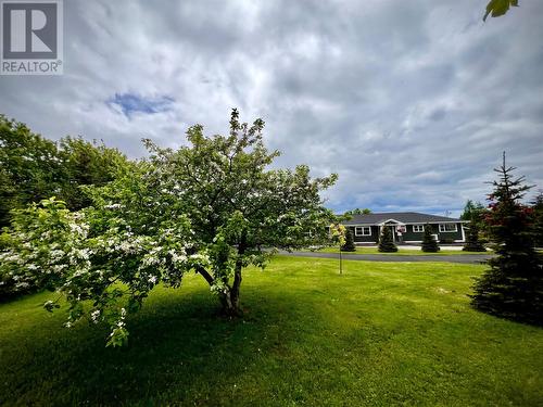 347 Tolt Road, St. Philip'S, NL - Outdoor With View