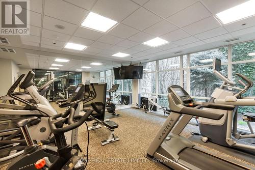 806 - 25 Scrivener Square, Toronto (Rosedale-Moore Park), ON - Indoor Photo Showing Gym Room