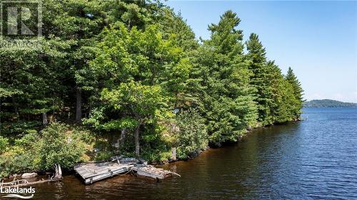 52 Scotts Point Road, Huntsville, ON - Outdoor With Body Of Water With View