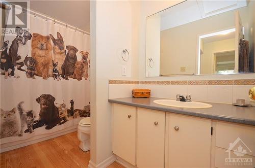 27 Reaney Court, Ottawa, ON - Indoor Photo Showing Bathroom