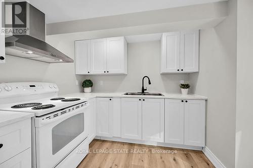 196 West 19Th Street, Hamilton (Buchanan), ON - Indoor Photo Showing Kitchen With Double Sink