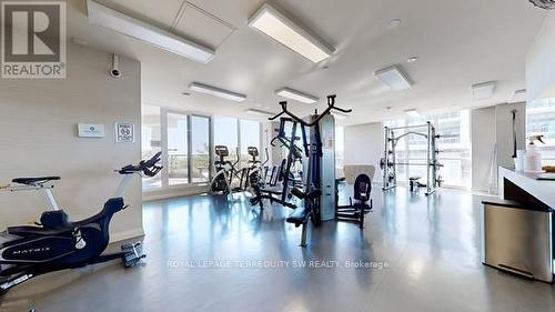 703 - 59 Annie Craig Drive, Toronto (Mimico), ON - Indoor Photo Showing Gym Room