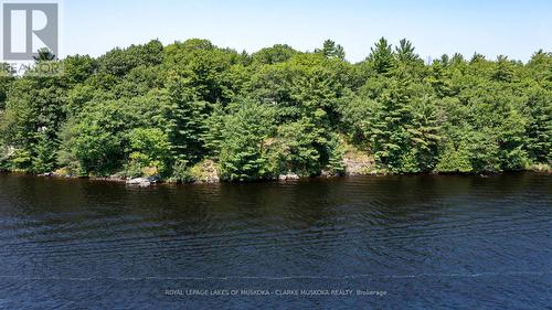 52 Scotts Point Road, Huntsville, ON - Outdoor With Body Of Water With View