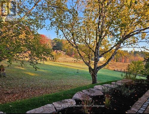 S10755 Sideroad 17, Brock (Sunderland), ON - Outdoor