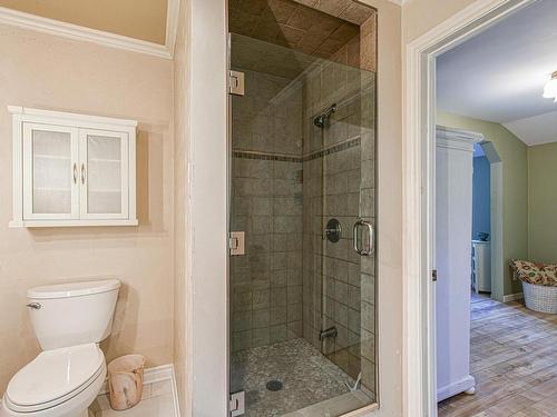 Ensuite bathroom - 656 Ch. Des Bouleaux, Piedmont, QC - Indoor Photo Showing Bathroom