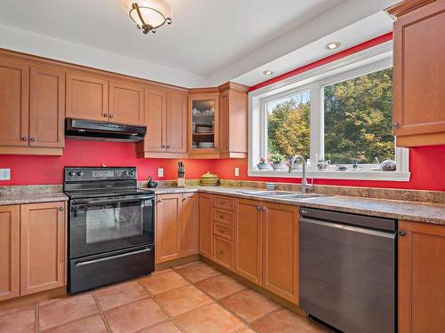 Kitchen - 55 Rue De La Montagne, Brébeuf, QC - Indoor Photo Showing Kitchen