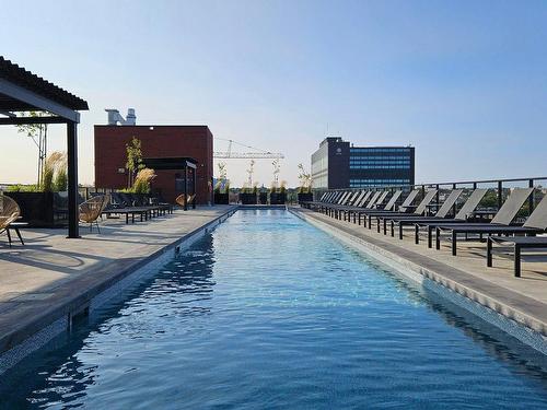 Piscine - 429-2180 Rue Ste-Catherine E., Montréal (Ville-Marie), QC - Outdoor With In Ground Pool