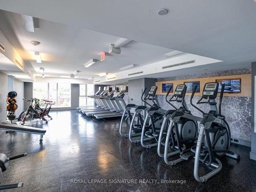 2009-20 Minowan Miikan Lane, Toronto, ON - Indoor Photo Showing Gym Room