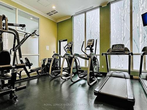 708-7 Lorraine Dr, Toronto, ON - Indoor Photo Showing Gym Room