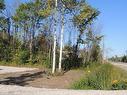 9313 Beachwood Rd, Collingwood, ON 