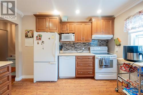 21 Blossom Avenue, Mount Pearl, NL - Indoor Photo Showing Kitchen