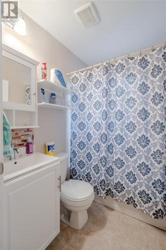 21 Blossom Avenue, Mount Pearl, NL - Indoor Photo Showing Bathroom