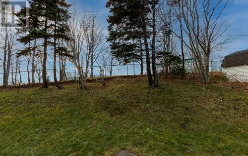 17 Whiteford Place, St. John'S, NL - Outdoor With View