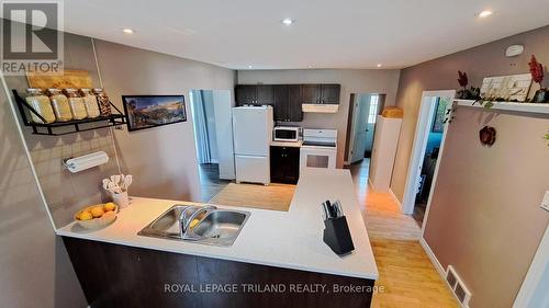 164 Trerice Street E, Chatham-Kent (Dresden), ON - Indoor Photo Showing Kitchen