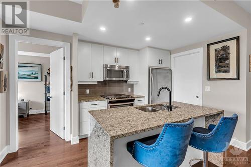 2 The Parkway Parkway Unit#501, Ottawa, ON - Indoor Photo Showing Kitchen With Double Sink