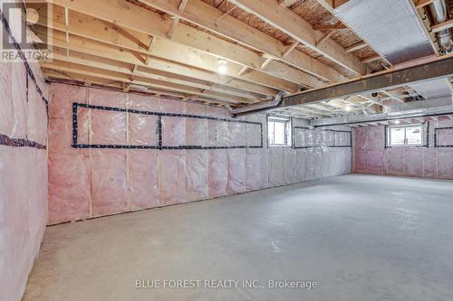 147 Shirley Street, Thames Centre (Thorndale), ON - Indoor Photo Showing Basement