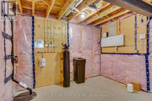 147 Shirley Street, Thames Centre (Thorndale), ON - Indoor Photo Showing Basement