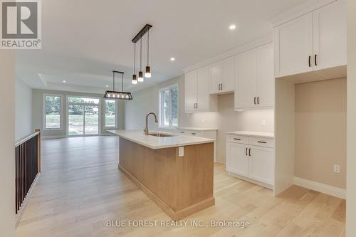 147 Shirley Street, Thames Centre (Thorndale), ON - Indoor Photo Showing Kitchen