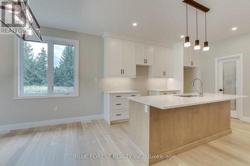 147 Shirley Street, Thames Centre (Thorndale), ON - Indoor Photo Showing Kitchen With Upgraded Kitchen