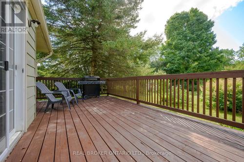 520 Concession 3, Norfolk, ON - Outdoor With Deck Patio Veranda With Exterior