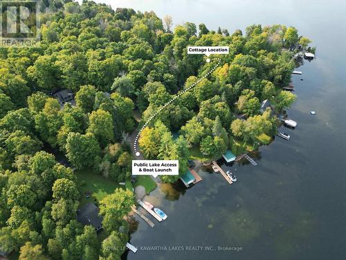 130 Driftwood Village Drive, Kawartha Lakes, ON - Outdoor With Body Of Water With View