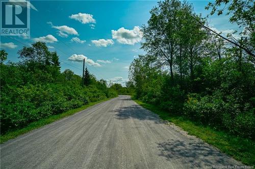 Lot 4 Cnr Road, Saint-Léonard, NB 