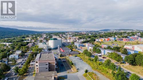 118 Ricketts Road, St. John'S, NL - Outdoor With View