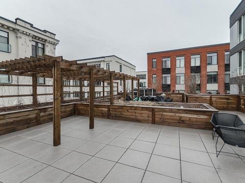 Patio - 211-3810 Rue St-Antoine O., Montréal (Le Sud-Ouest), QC - Outdoor