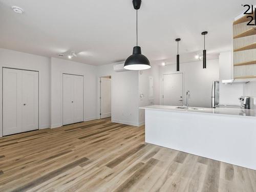 Overall view - 410-2121 Av. Papineau, Montréal (Ville-Marie), QC 