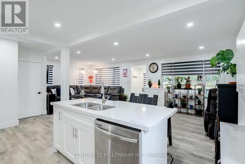 4663 Montrose Road, Niagara Falls, ON - Indoor Photo Showing Kitchen With Double Sink