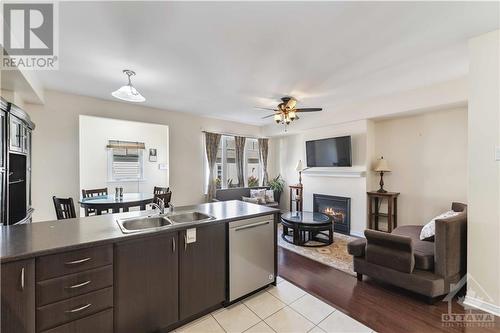 341 Sweetflag Street, Ottawa, ON - Indoor Photo Showing Kitchen With Fireplace With Double Sink