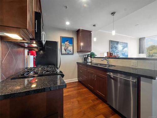 308-225 Menzies St, Victoria, BC - Indoor Photo Showing Kitchen With Double Sink