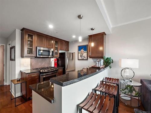 308-225 Menzies St, Victoria, BC - Indoor Photo Showing Kitchen