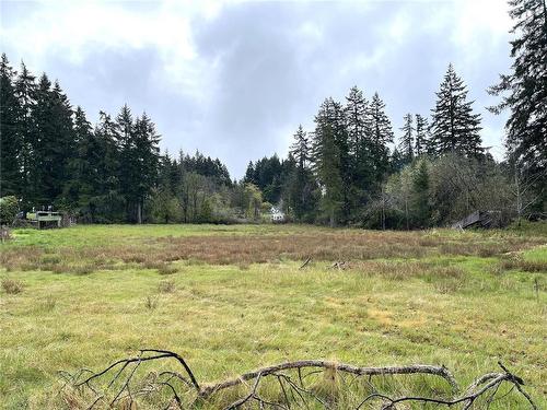 Lot B Chapman Rd, Port Alberni, BC 