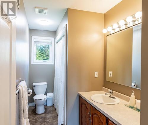 213 Pouch Cove Highway, Flatrock, NL - Indoor Photo Showing Bathroom