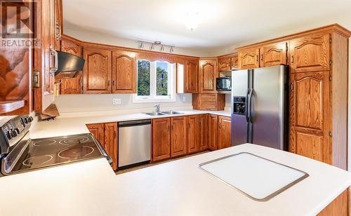 213 Pouch Cove Highway, Flatrock, NL - Indoor Photo Showing Kitchen With Double Sink