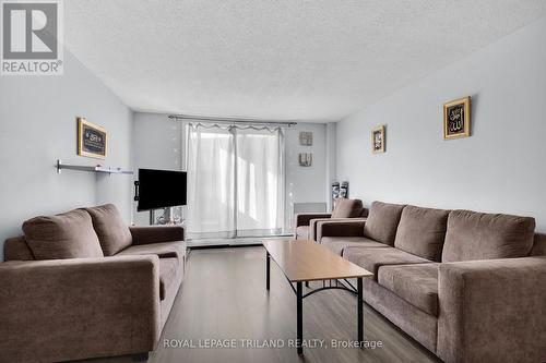 206 - 1588 Ernest Avenue, London, ON - Indoor Photo Showing Living Room