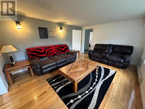 1 Fords Road, Jacksons Arm, NL - Indoor Photo Showing Living Room