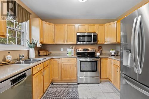 998 Fielding Court, Windsor, ON - Indoor Photo Showing Kitchen With Double Sink