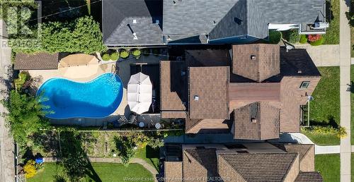 703 Lincoln, Windsor, ON - Outdoor With In Ground Pool