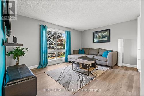 128 Homestead Place, Kitchener, ON - Indoor Photo Showing Living Room