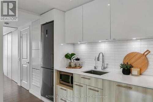 1130 - 251 Jarvis Street, Toronto (Church-Yonge Corridor), ON - Indoor Photo Showing Kitchen With Upgraded Kitchen