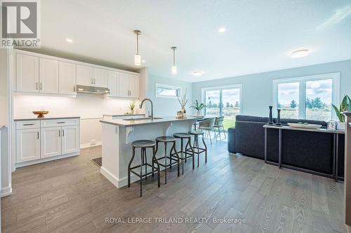 54 Silverleaf Path, St. Thomas, ON - Indoor Photo Showing Kitchen With Upgraded Kitchen