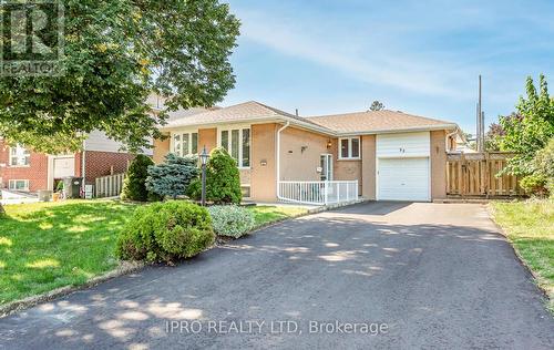 22 Argyle Crescent, Brampton (Avondale), ON - Outdoor