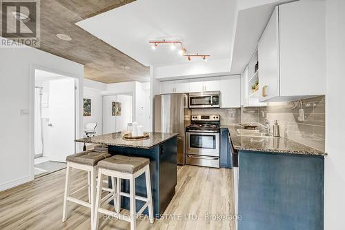 117 - 816 Lansdowne Avenue, Toronto (Dovercourt-Wallace Emerson-Junction), ON - Indoor Photo Showing Kitchen